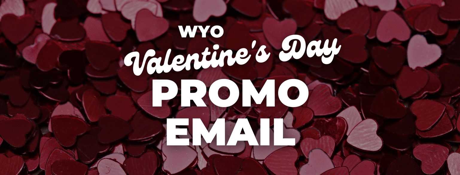 Crisp Copy Courses Valentine's Day Promo Email copywriting Template